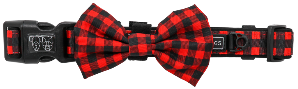 Big and Little Dogs Halsband Plaid to the Bone - Premium halsband > hondenhalsband from Big and Little Dogs - Just €10! Shop now at Frenkiezdogshop