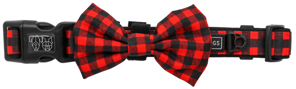 Big and Little Dogs Halsband Plaid to the Bone halsband > hondenhalsband Small
