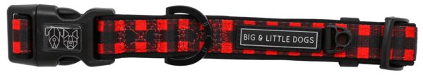 Big and Little Dogs Halsband Plaid to the Bone halsband > hondenhalsband Small