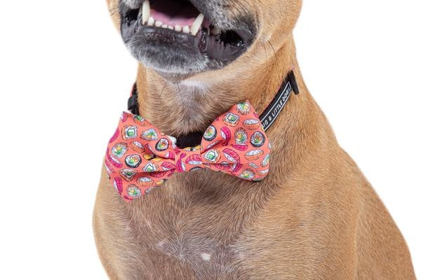 Big and Little Dogs Halsband Sashimi - Premium halsband > hondenhalsband from Big and Little Dogs - Just €10! Shop now at Frenkiezdogshop