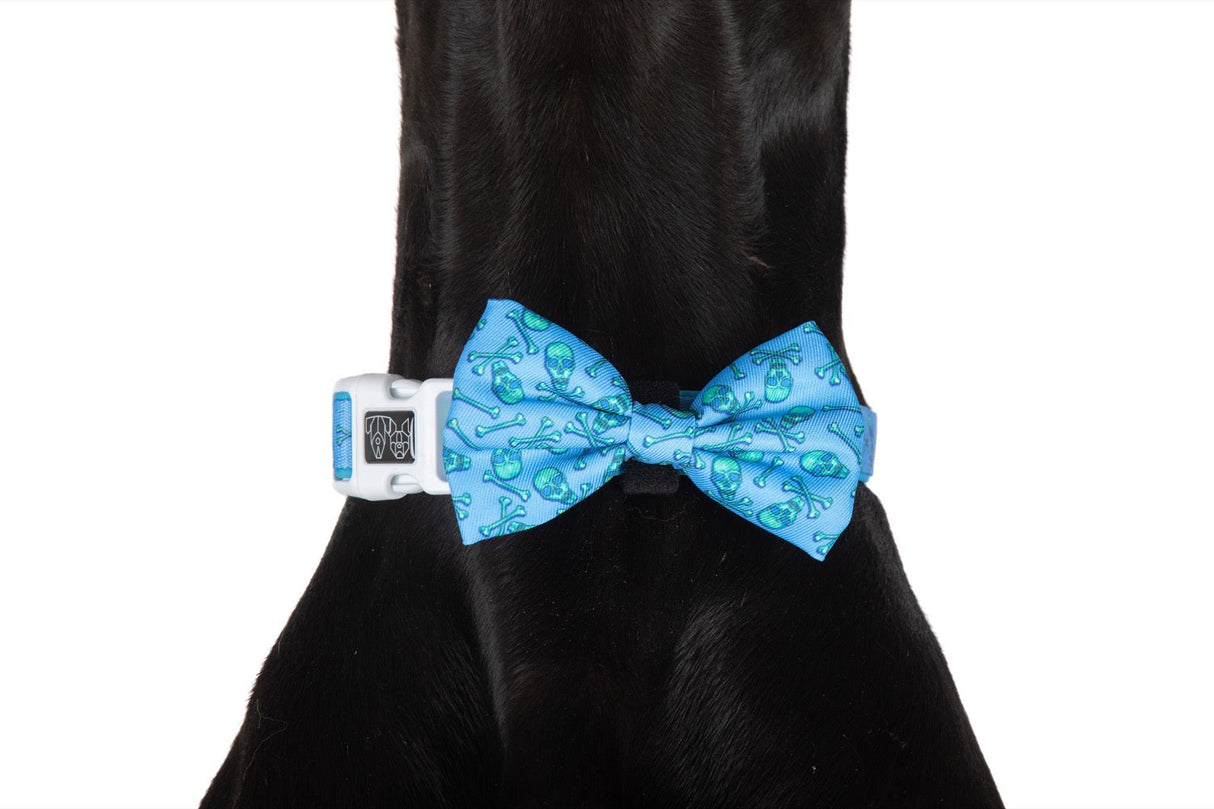 Big and Little Dogs Collar & Bow-tie Skulls & Bones (Blue Version) - Premium Hondenstrik > strik from Big and Little Dogs - Just €10! Shop now at Frenkiezdogshop