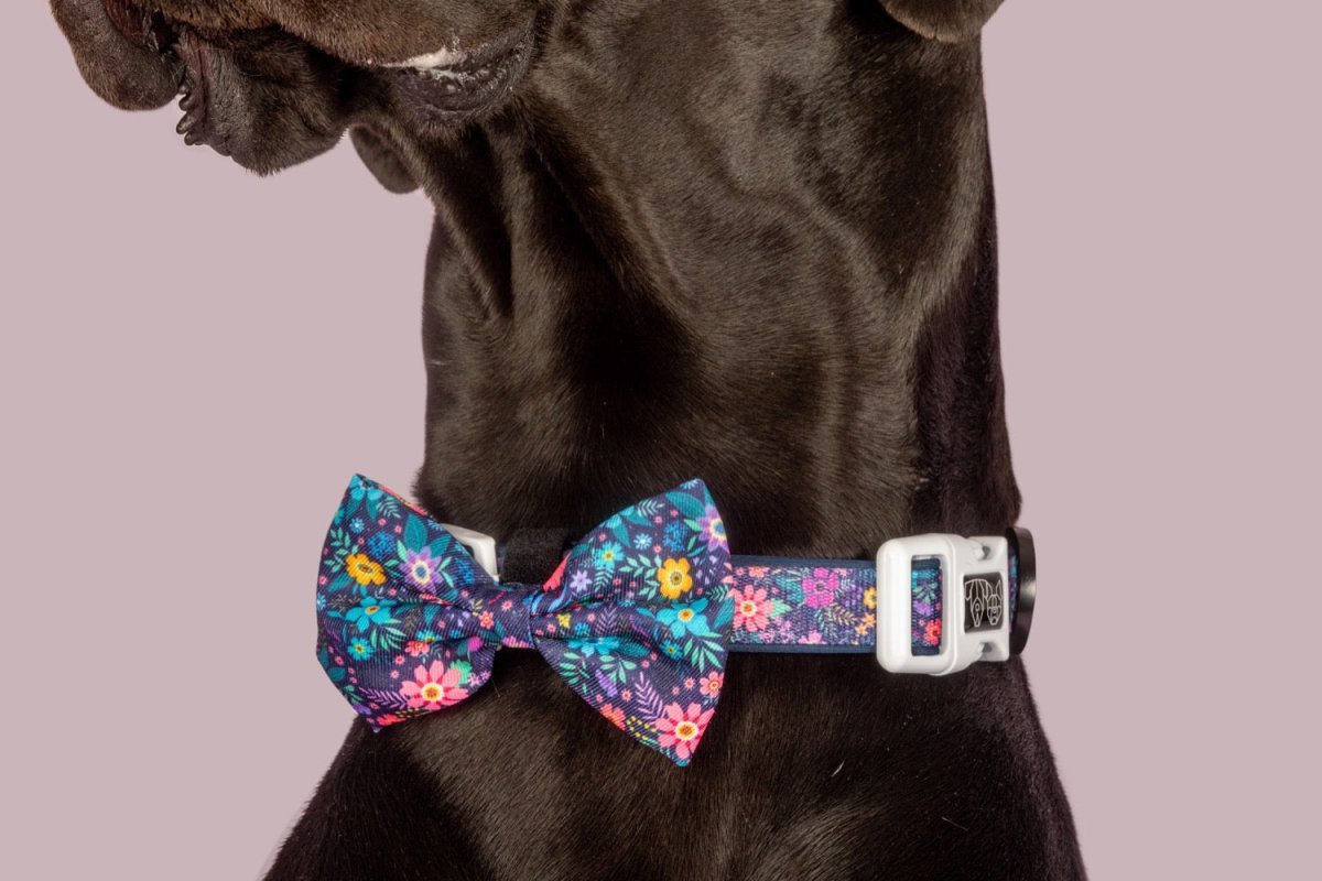 Big and Little Dogs Collar & Bow - tie Stop & Smell The Flowers halsband > hondenhalsband X - Small