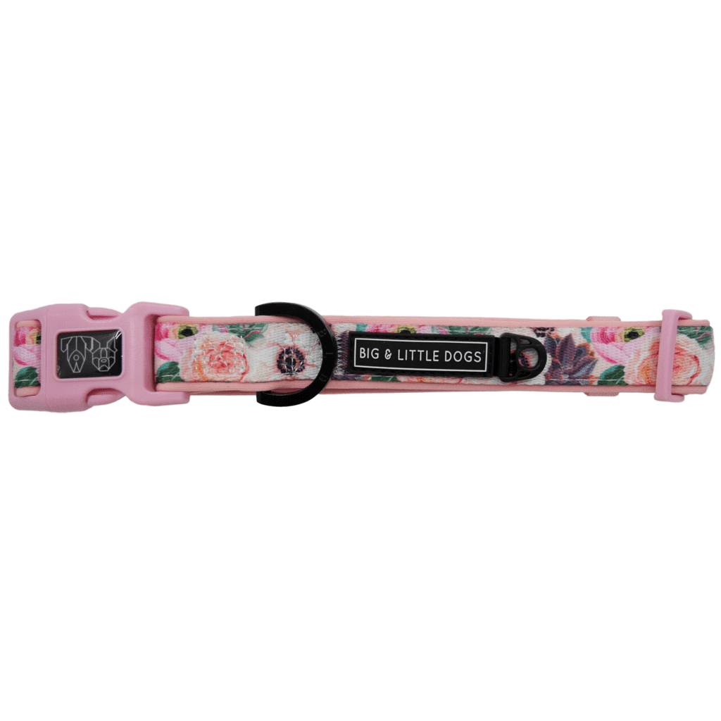 Big and Little Dogs Halsband I'm A Succa For You ( LARGE ) - Premium halsband > hondenhalsband from Big and Little Dogs - Just €10! Shop now at Frenkiezdogshop