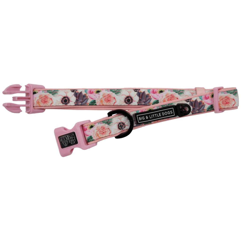 Big and Little Dogs Halsband I'm A Succa For You ( LARGE ) - Premium halsband > hondenhalsband from Big and Little Dogs - Just €10! Shop now at Frenkiezdogshop