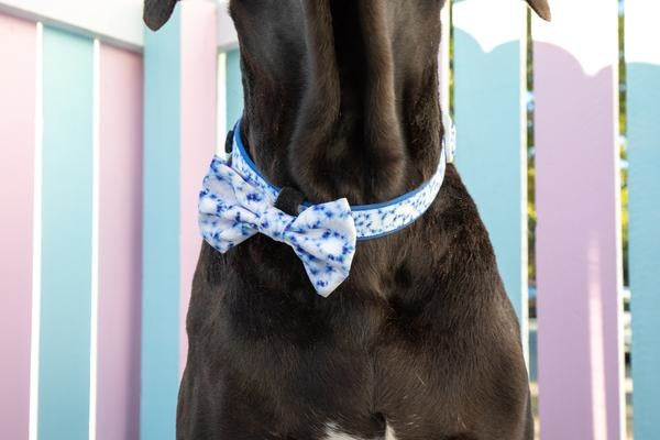Big and Little Dogs Halsband Blue Tie Dye - Premium halsband > hondenhalsband from Big and Little Dogs - Just €10! Shop now at Frenkiezdogshop