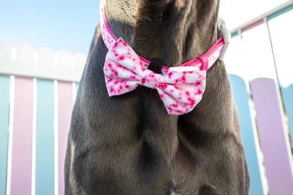 Big and Little Dogs Halsband Pink Tie Dye halsband > hondenhalsband X - Small