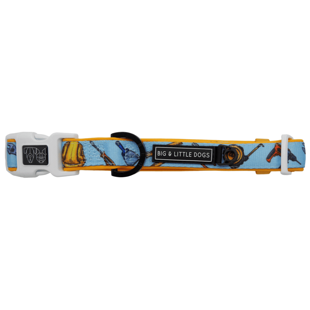 Big and Little Dogs Halsband Under Construction ( MEDIUM ) - Premium halsband > hondenhalsband from Big and Little Dogs - Just €10! Shop now at Frenkiezdogshop