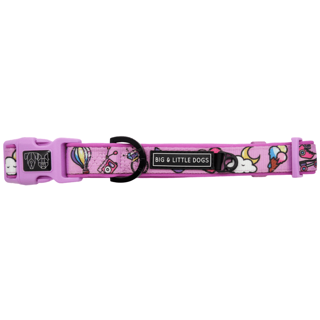 Big and Little Dogs Halsband One of A Kind ( LARGE ) halsband > hondenhalsband Medium