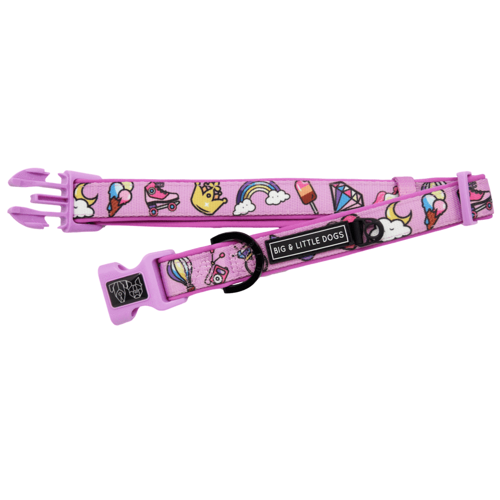 Big and Little Dogs Halsband One of A Kind ( LARGE ) halsband > hondenhalsband Medium