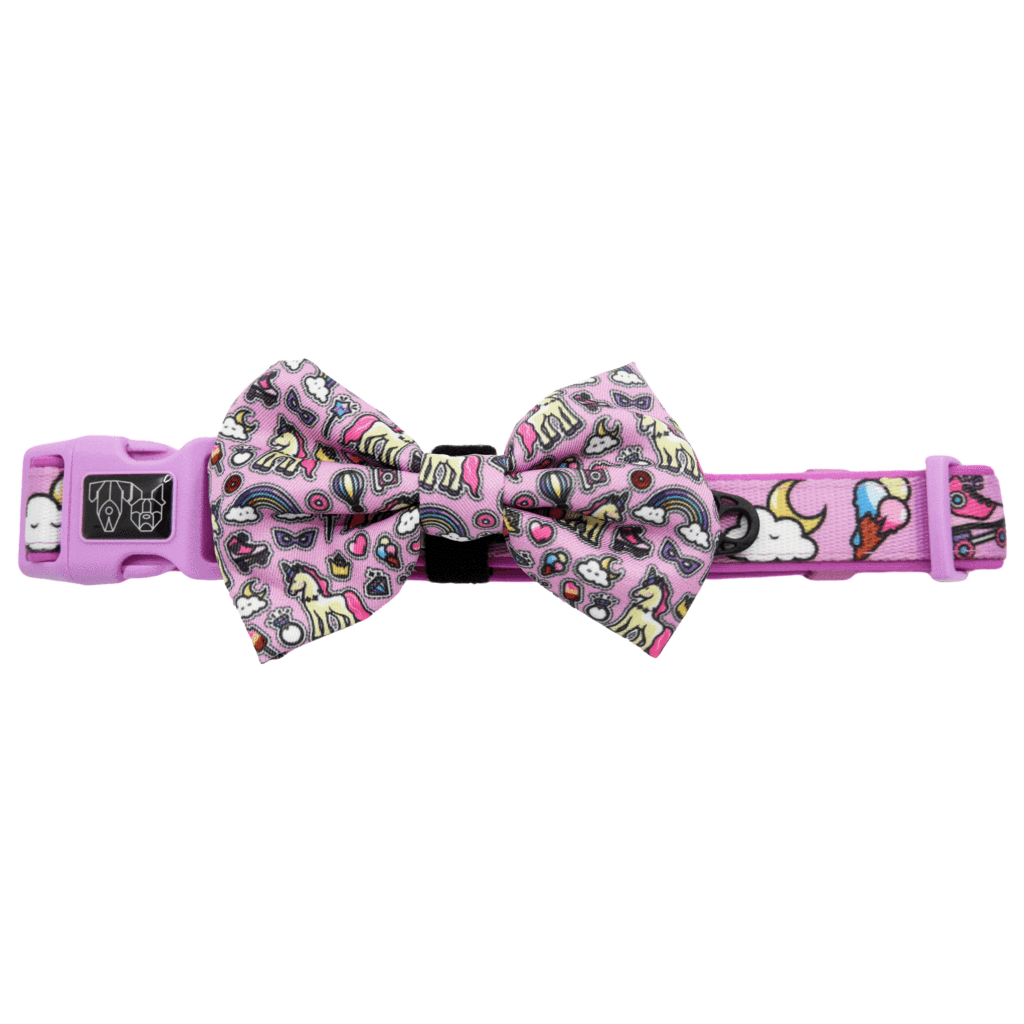 Big and Little Dogs Halsband One of A Kind ( LARGE ) - Premium halsband > hondenhalsband from Big and Little Dogs - Just €10! Shop now at Frenkiezdogshop