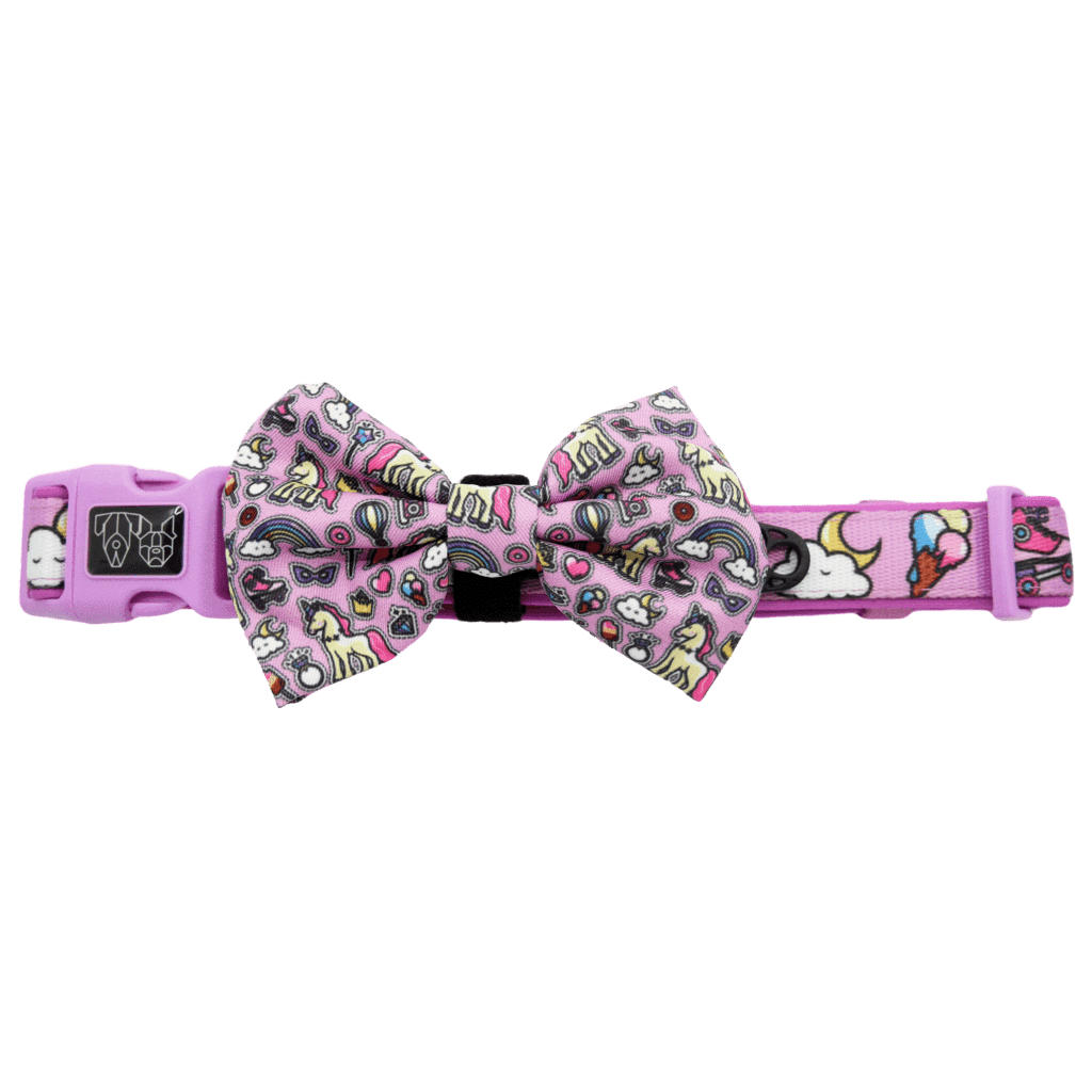 Big and Little Dogs Halsband One of A Kind ( LARGE ) halsband > hondenhalsband Medium