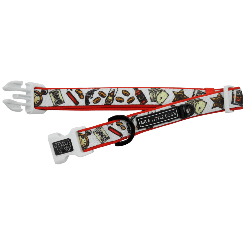 Big and Little Dogs Halsband Best in The West ( XSMALL & MEDIUM ) halsband > hondenhalsband X - Small