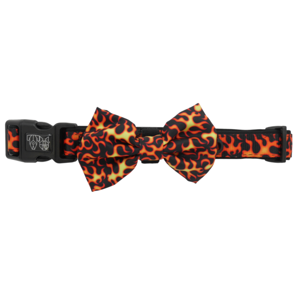 Big and Little Dogs Halsband Too Hot To Handle ( S & L ) - Premium halsband > hondenhalsband from Big and Little Dogs - Just €10! Shop now at Frenkiezdogshop