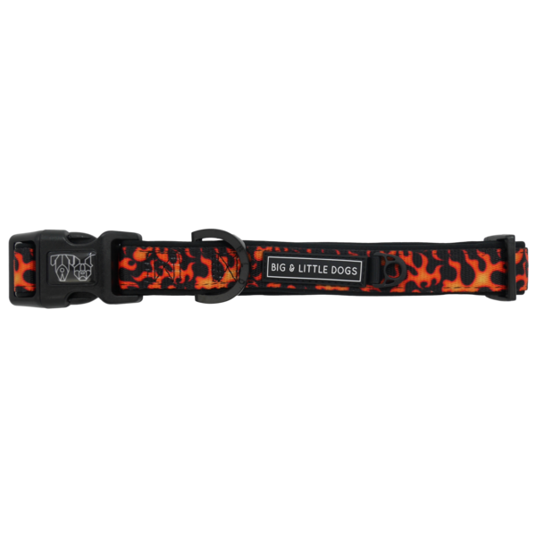 Big and Little Dogs Halsband Too Hot To Handle ( S & L ) - Premium halsband > hondenhalsband from Big and Little Dogs - Just €10! Shop now at Frenkiezdogshop