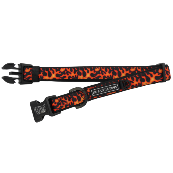 Big and Little Dogs Halsband Too Hot To Handle ( S & L ) - Premium halsband > hondenhalsband from Big and Little Dogs - Just €10! Shop now at Frenkiezdogshop