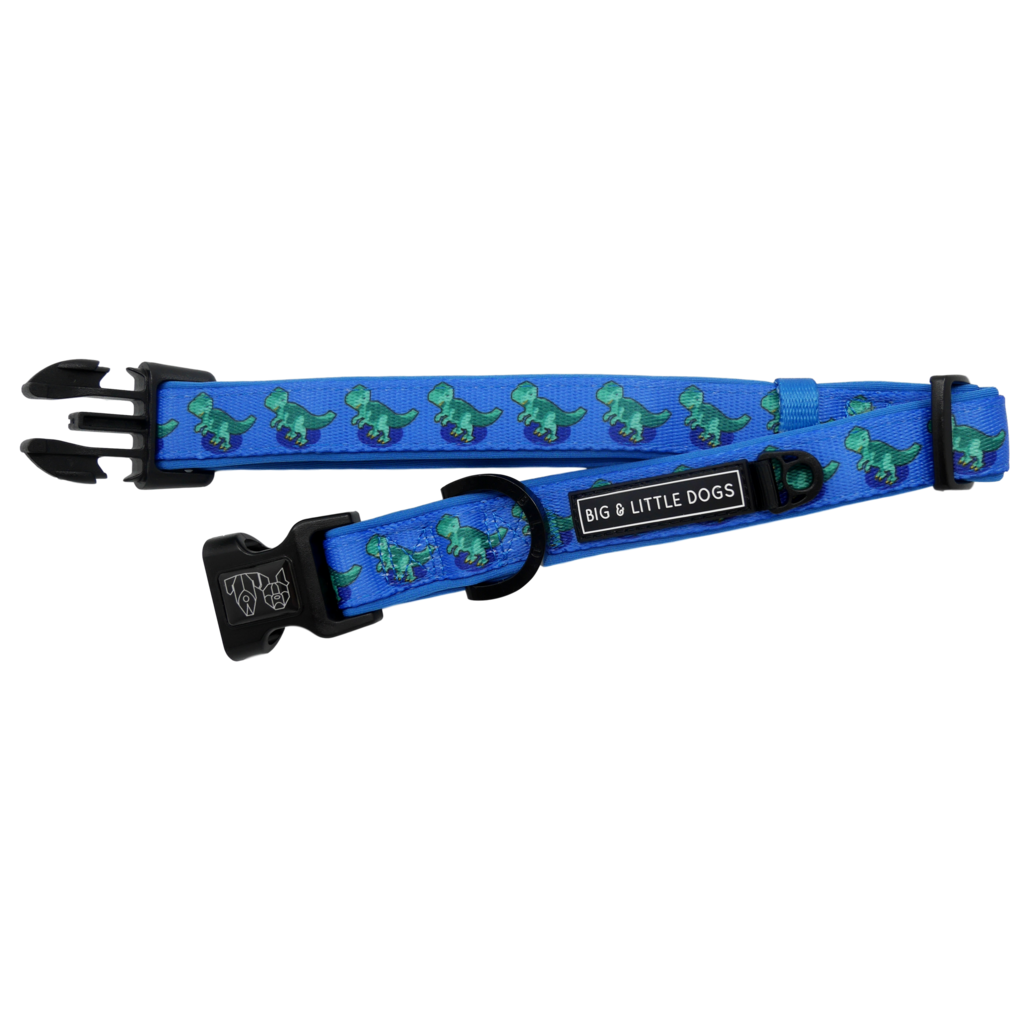 Big and Little Dogs Halsband Rawr ( SMALL ) - Premium halsband > hondenhalsband from Big and Little Dogs - Just €10! Shop now at Frenkiezdogshop