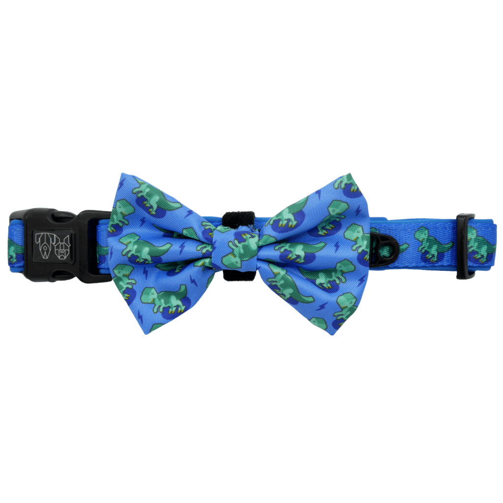 Big and Little Dogs Halsband Rawr ( SMALL ) halsband > hondenhalsband X - Small