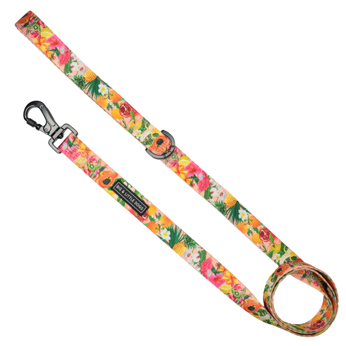 Big and Little Dogs Lijn Fruit Salad hondenriem > hondenlijn 1,5 cm breed