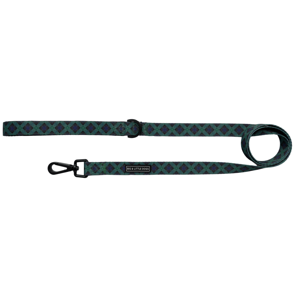 Big and Little Dogs Lijn Green with Envy ( 1,5 cm ) - Premium hondenriem > hondenlijn from Big and Little Dogs - Just €10! Shop now at Frenkiezdogshop