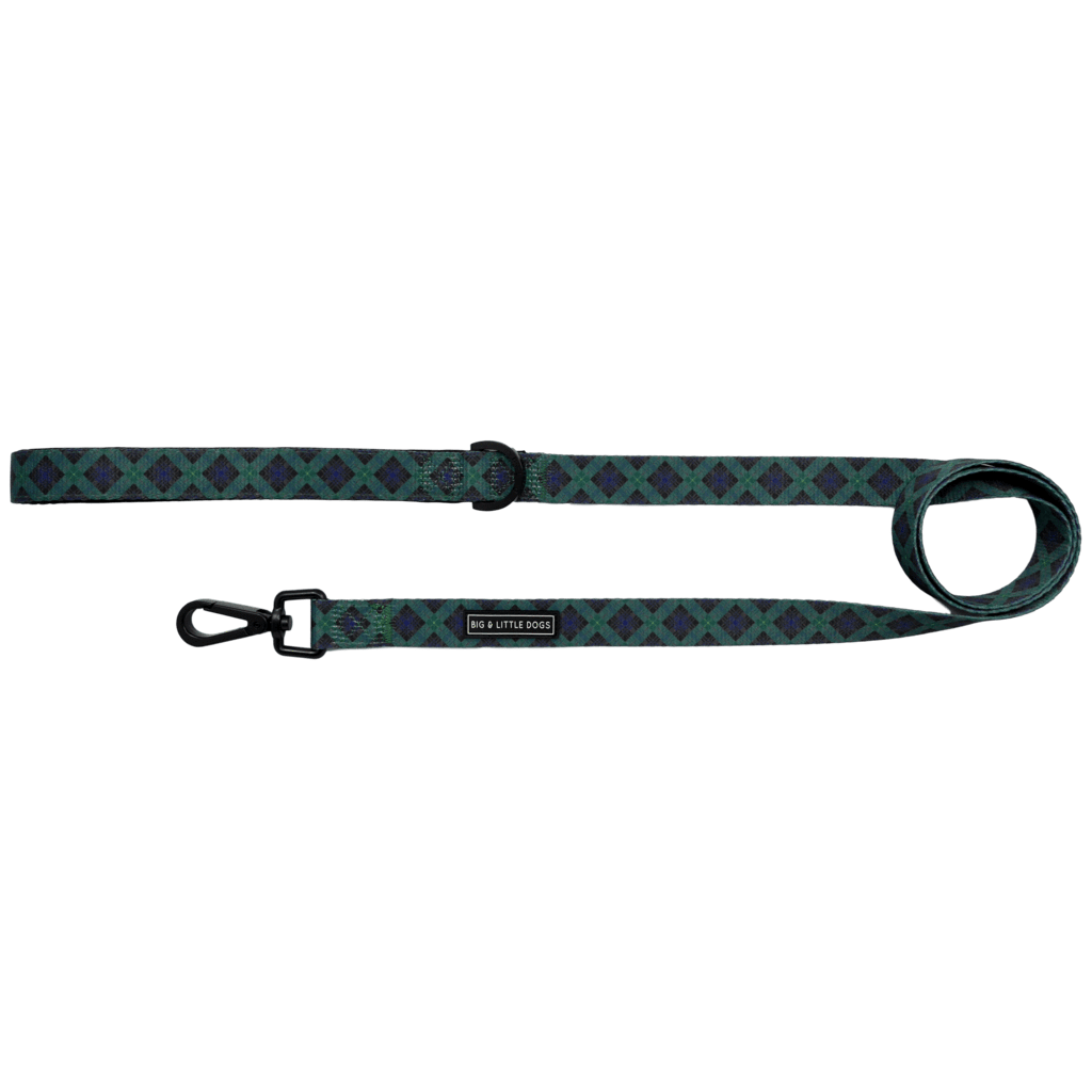 Big and Little Dogs Lijn Green with Envy ( 1,5 cm ) hondenriem > hondenlijn 1,5 cm breed