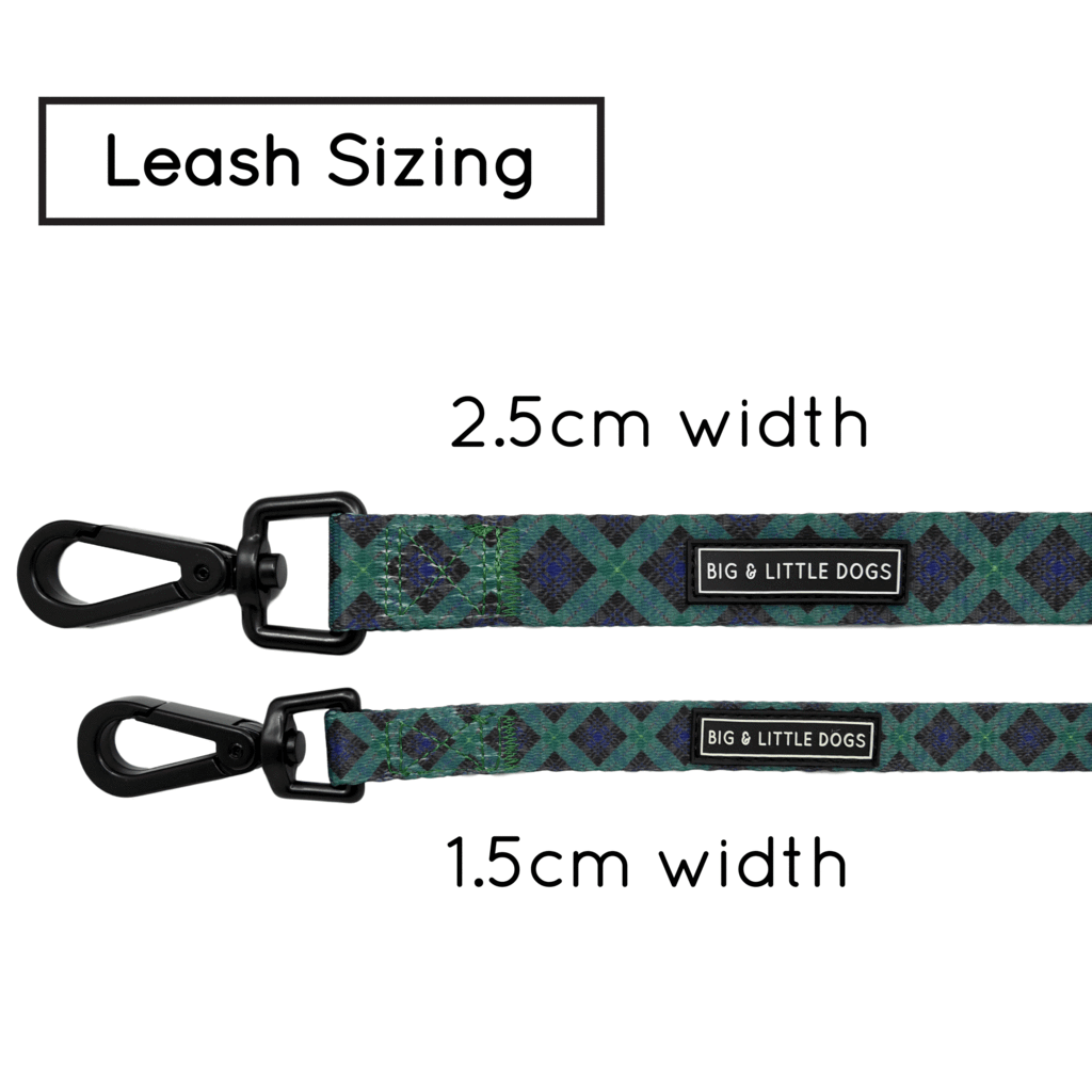 Big and Little Dogs Lijn Green with Envy ( 1,5 cm ) - Premium hondenriem > hondenlijn from Big and Little Dogs - Just €10! Shop now at Frenkiezdogshop