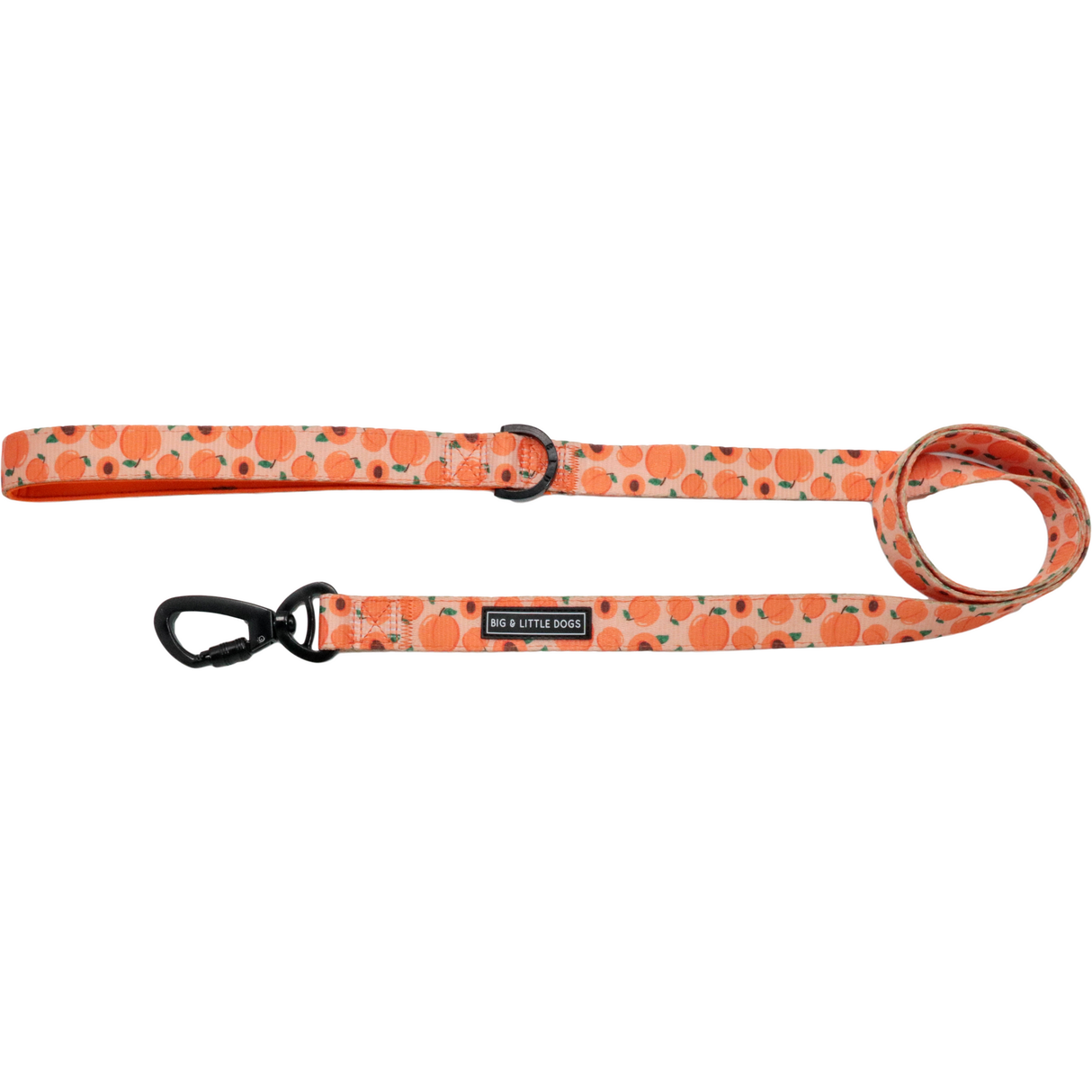 Big and Little Dogs Lijn Just Peachy - Premium hondenriem > hondenlijn from Big and Little Dogs - Just €10! Shop now at Frenkiezdogshop