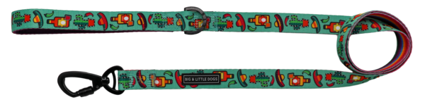 Big and Little Dogs Lijn Mexican Fiesta ( 2,5 cm ) - Premium hondenriem > hondenlijn from Big and Little Dogs - Just €10! Shop now at Frenkiezdogshop