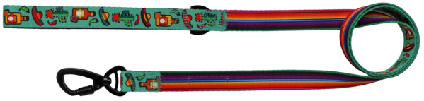 Big and Little Dogs Lijn Mexican Fiesta ( 2,5 cm ) - Premium hondenriem > hondenlijn from Big and Little Dogs - Just €10! Shop now at Frenkiezdogshop