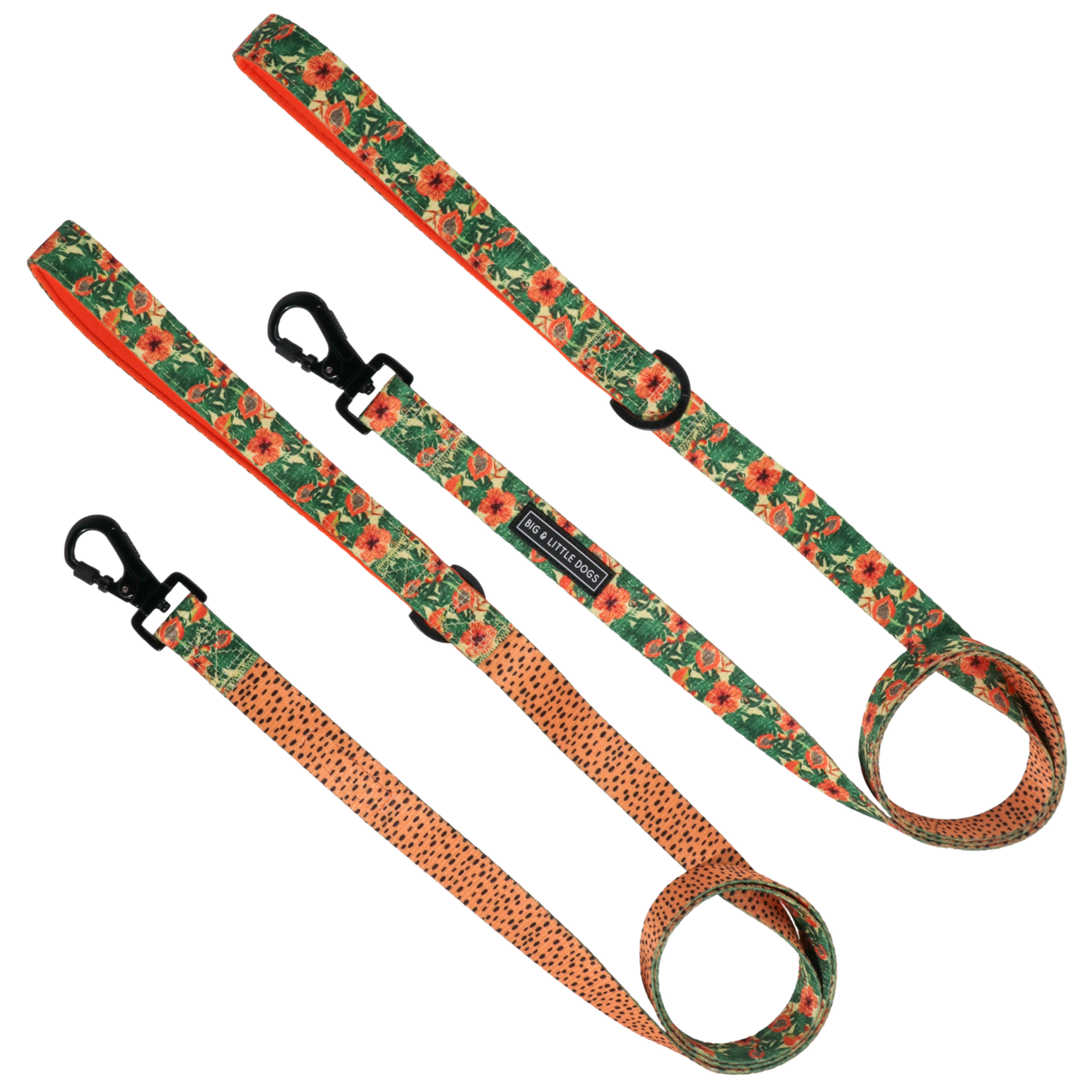 Big and Little Dogs Lijn Paw-Paw-Pawesome - Premium hondenriem > hondenlijn from Big and Little Dogs - Just €10! Shop now at Frenkiezdogshop