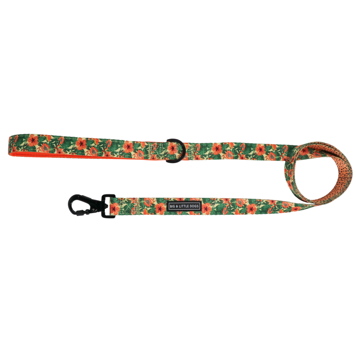 Big and Little Dogs Lijn Paw-Paw-Pawesome - Premium hondenriem > hondenlijn from Big and Little Dogs - Just €10! Shop now at Frenkiezdogshop