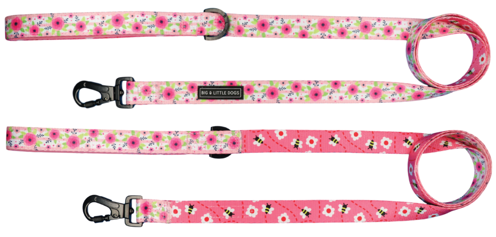 Big and Little Dogs Lijn Pretty as can Bee hondenriem > hondenlijn 1,5 cm breed