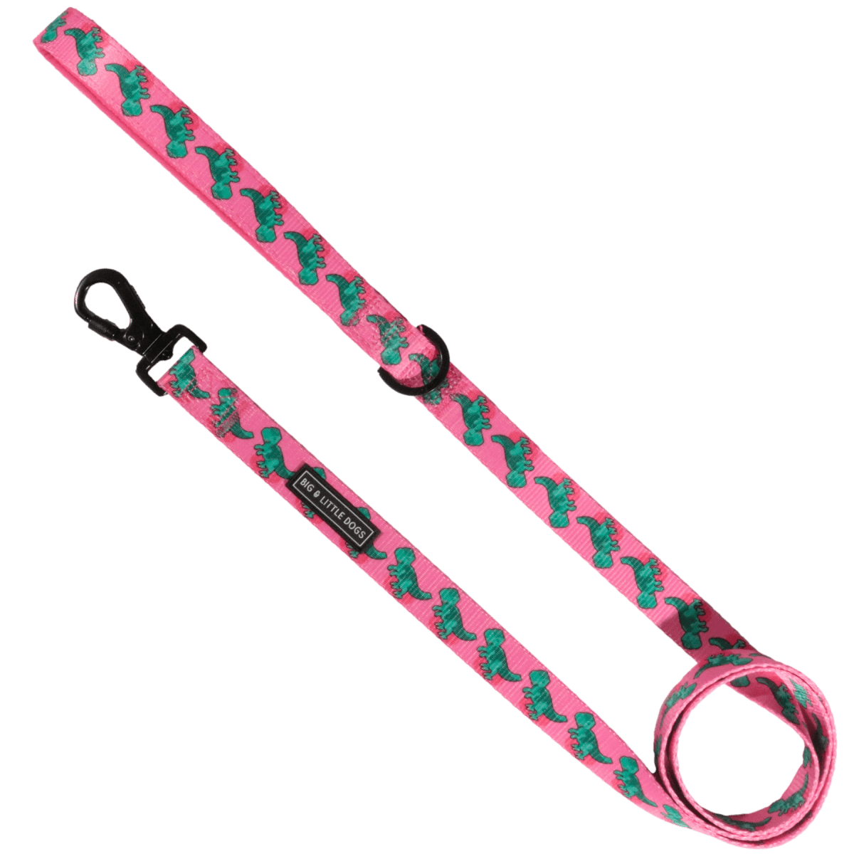 Big and Little Dogs Lijn Princess - asaurus hondenriem > hondenlijn 1,5 cm breed