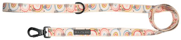 Big and Little Dogs Lijn Rainbow Dreams - Premium hondenriem > hondenlijn from Big and Little Dogs - Just €10! Shop now at Frenkiezdogshop