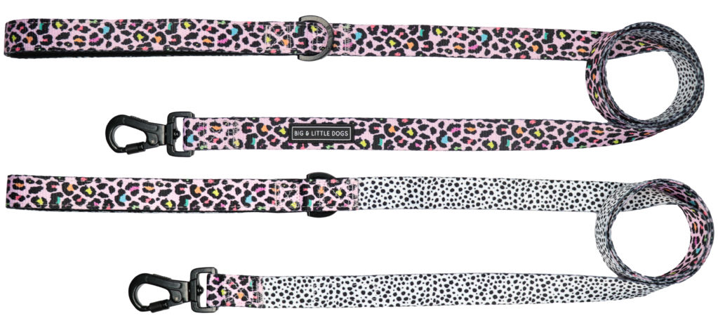 Big and Little Dogs Lijn Spotted Leopard - Premium hondenriem > hondenlijn from Big and Little Dogs - Just €10! Shop now at Frenkiezdogshop