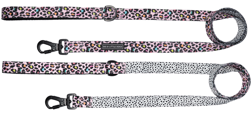 Big and Little Dogs Lijn Spotted Leopard hondenriem > hondenlijn 1,5 cm breed