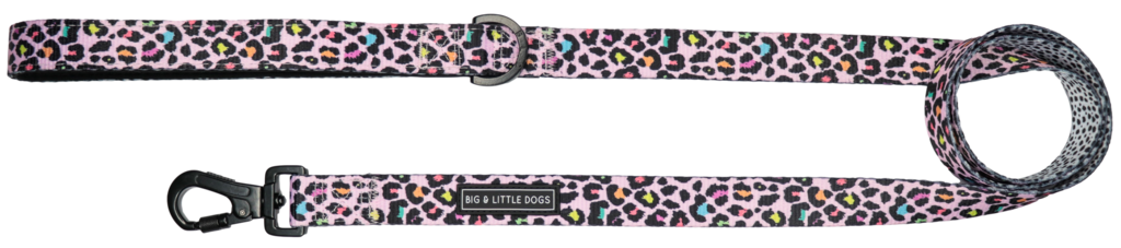 Big and Little Dogs Lijn Spotted Leopard - Premium hondenriem > hondenlijn from Big and Little Dogs - Just €10! Shop now at Frenkiezdogshop