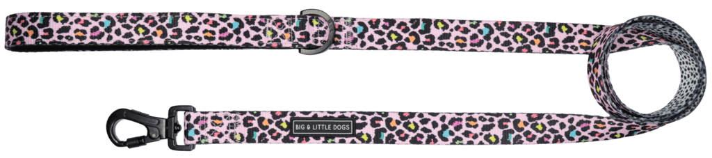 Big and Little Dogs Lijn Spotted Leopard hondenriem > hondenlijn 1,5 cm breed