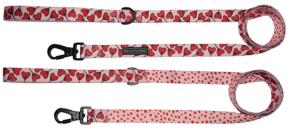Big and Little Dogs Lijn Sucker For Love - Premium hondenriem > hondenlijn from Big and Little Dogs - Just €10! Shop now at Frenkiezdogshop