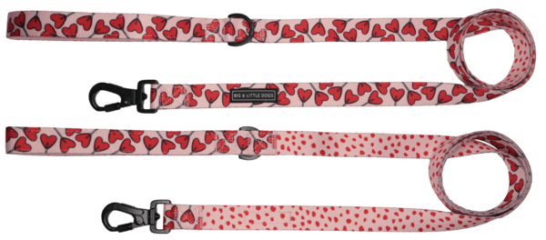 Big and Little Dogs Lijn Sucker For Love hondenriem > hondenlijn 1,5 cm breed