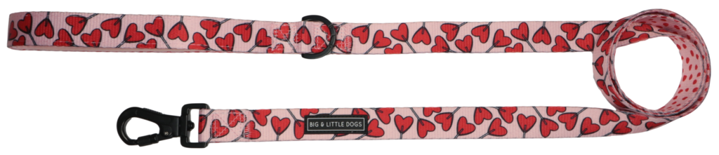 Big and Little Dogs Lijn Sucker For Love - Premium hondenriem > hondenlijn from Big and Little Dogs - Just €10! Shop now at Frenkiezdogshop