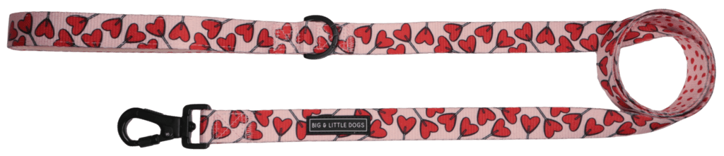 Big and Little Dogs Lijn Sucker For Love hondenriem > hondenlijn 1,5 cm breed