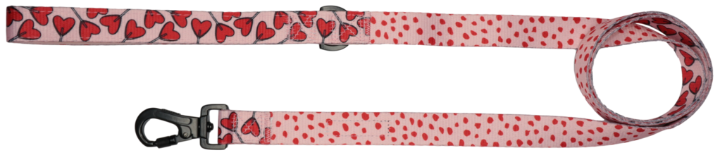 Big and Little Dogs Lijn Sucker For Love - Premium hondenriem > hondenlijn from Big and Little Dogs - Just €10! Shop now at Frenkiezdogshop