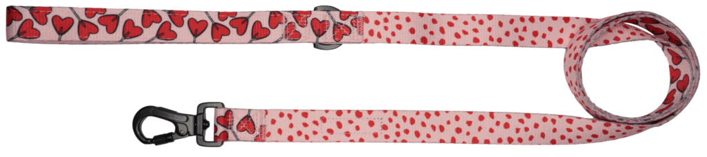 Big and Little Dogs Lijn Sucker For Love hondenriem > hondenlijn 1,5 cm breed