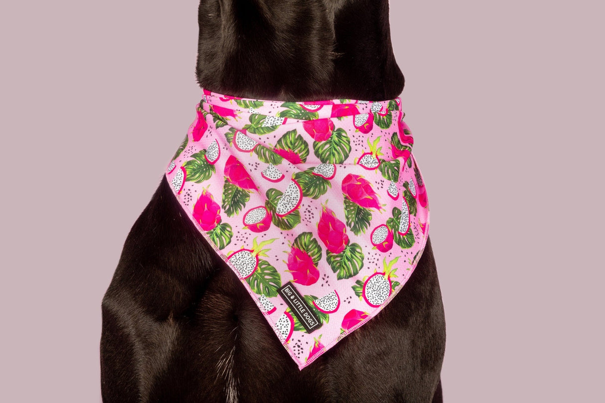 Big and Little dogs Bandana Abso-Dragon-Fruity - Premium Bandana > Hondenbandana from Big and Little Dogs - Just €5! Shop now at Frenkiezdogshop