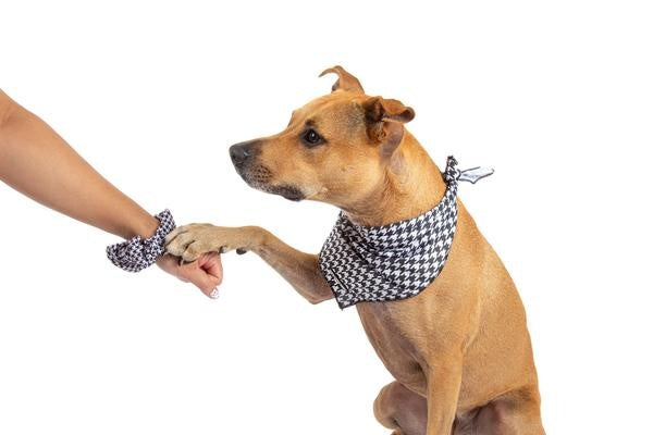 Big and Little Dogs Houndstooth Squad scrunchie - Premium Haarelastiek > haarasseccoire from Big and Little Dogs - Just €5! Shop now at Frenkiezdogshop