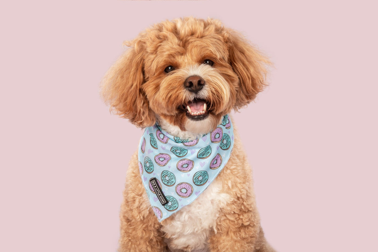 Big and Little dogs Bandana Donut Kill My Vibe (Blue Version) - Premium Bandana > Hondenbandana from Big and Little Dogs - Just €5! Shop now at Frenkiezdogshop