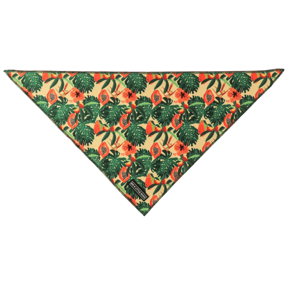 Big and Little dogs Bandana Paw Paw Pawesome Bandana > Hondenbandana Small/Medium