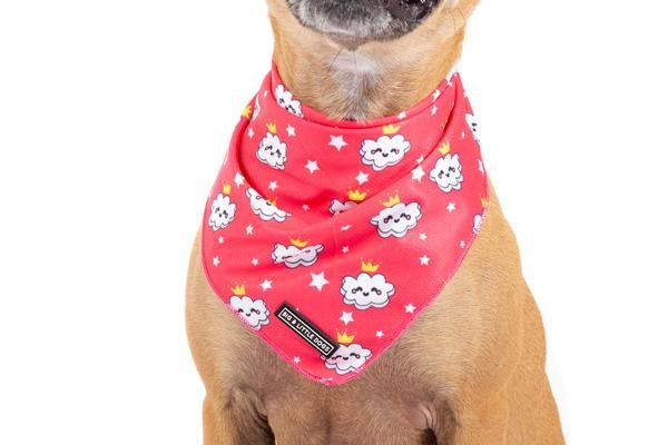 Big and Little dogs Bandana Queen of the Clouds - Premium Bandana > Hondenbandana from Big and Little Dogs - Just €5! Shop now at Frenkiezdogshop