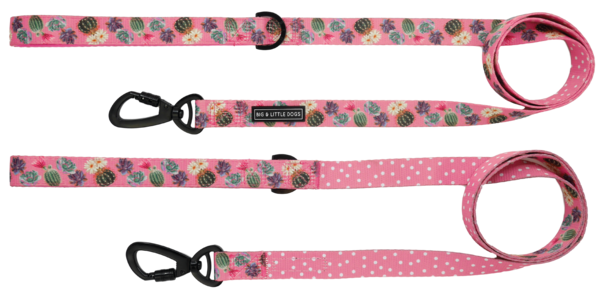 Big and Little Dogs Lijn Plant One On Me - Premium hondenriem > hondenlijn from Big and Little Dogs - Just €10! Shop now at Frenkiezdogshop