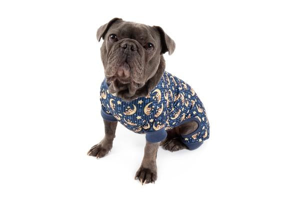 Big and Little Dogs Onesie Pyjama Good Night ( XSMALL) - Premium Hondenkleding > Hondenpyjama from Big and Little Dogs - Just €20! Shop now at Frenkiezdogshop